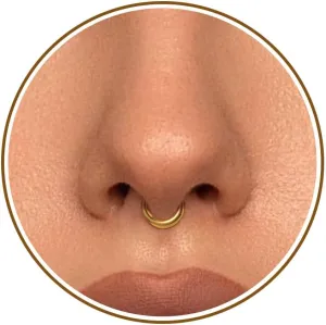 Btysun Nose Rings for Women, Septum Hinged Hoop 16G Nostril Helix Cartilage Earrings, Tragus Rock Conch Lip Daith Piercing Jewelry 8MM 10MM