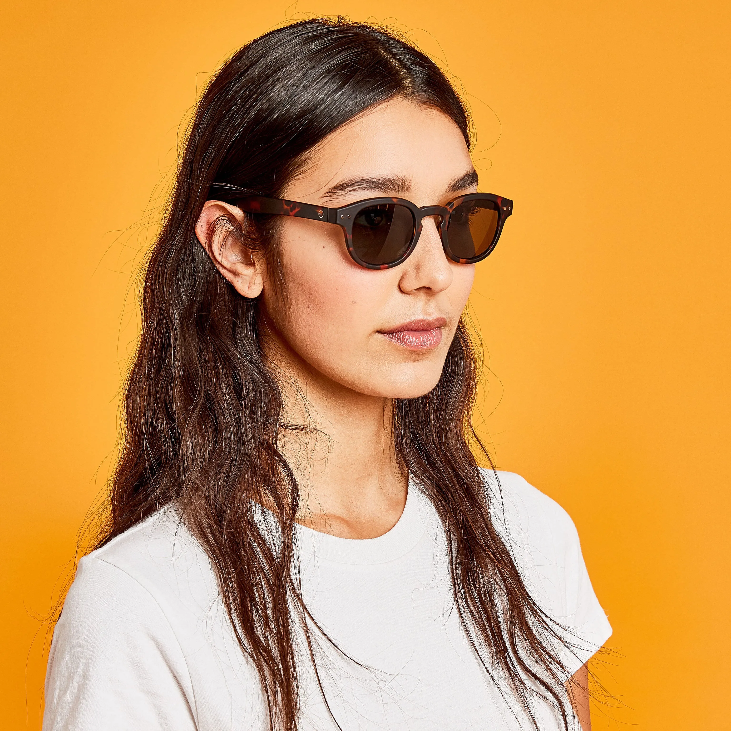IZIPIZI Rounded-Edge Square Sunglasses #C - Tortoise
