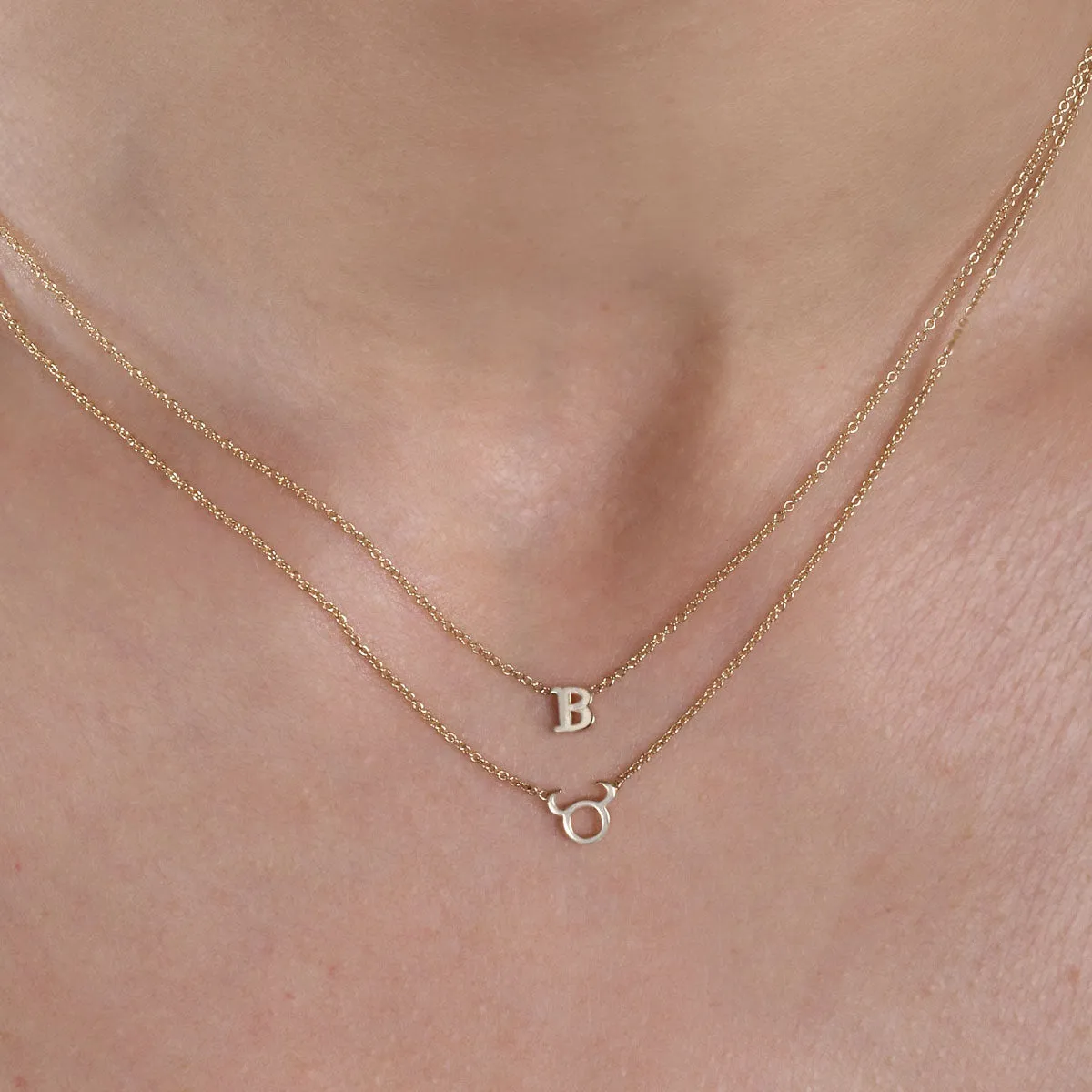 Letter V - 14k Gold Initial Necklace